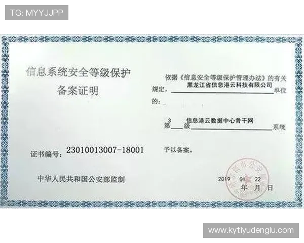 开云网页登陆安全性分析保障用户账号信息安全的多重措施介绍