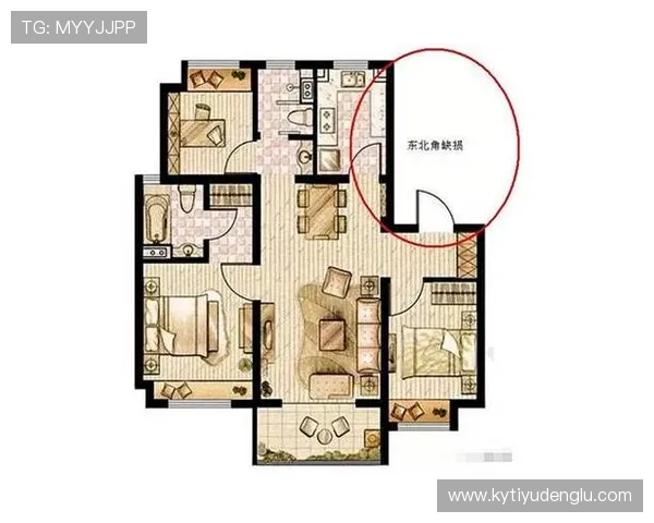 华人开运网官网：专业风水大师在线解读，助你改善居家风水布局