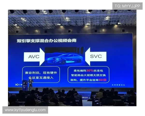 深度解析开云官网登录的安全性与保护措施